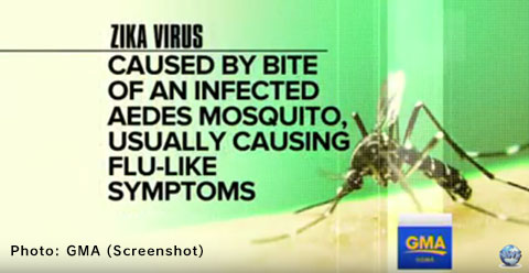 [190] Zika virus expands across the Americas